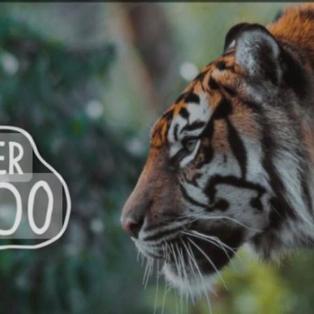 The Beautiful Bungalow Amazing Location For Chester & Zoo Wervin ภายนอก รูปภาพ