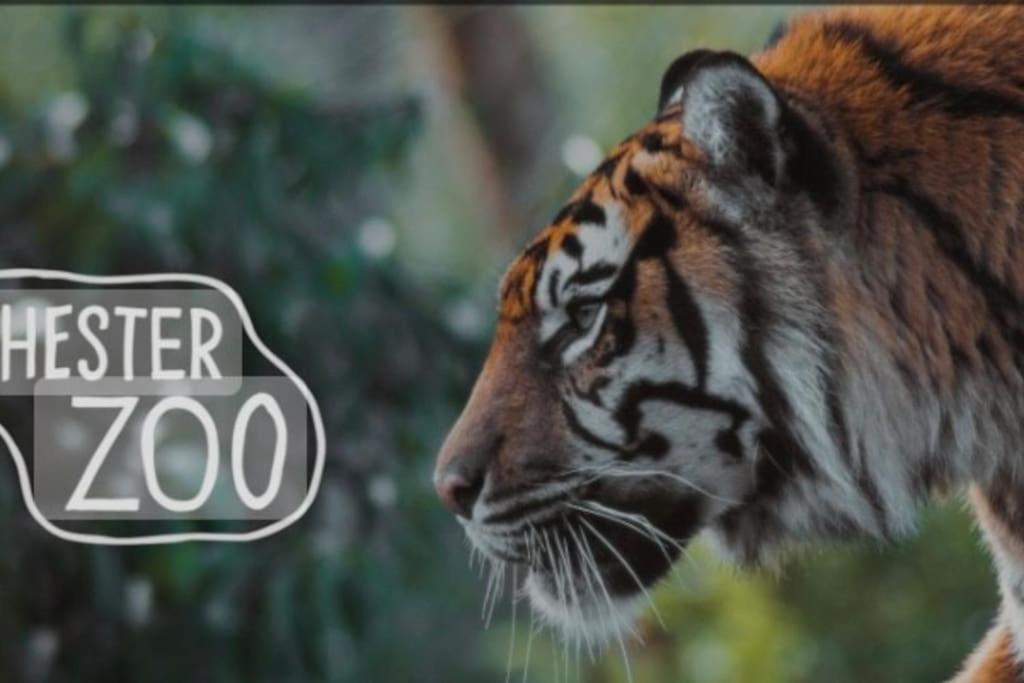 The Beautiful Bungalow Amazing Location For Chester & Zoo Wervin ภายนอก รูปภาพ
